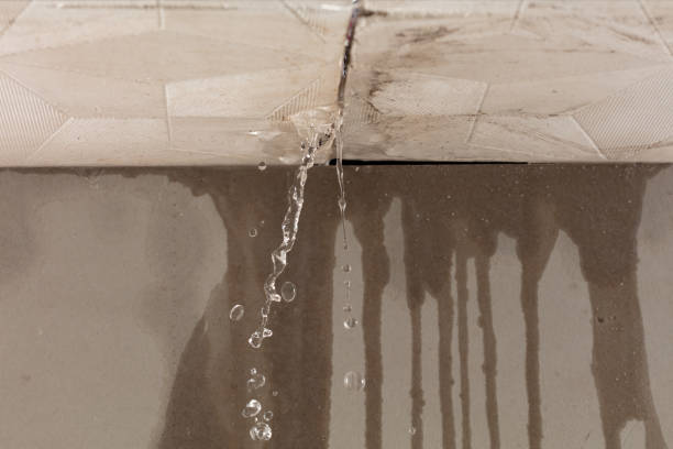 Professional Flood Damage Cleanup technician working in Bristol, CT